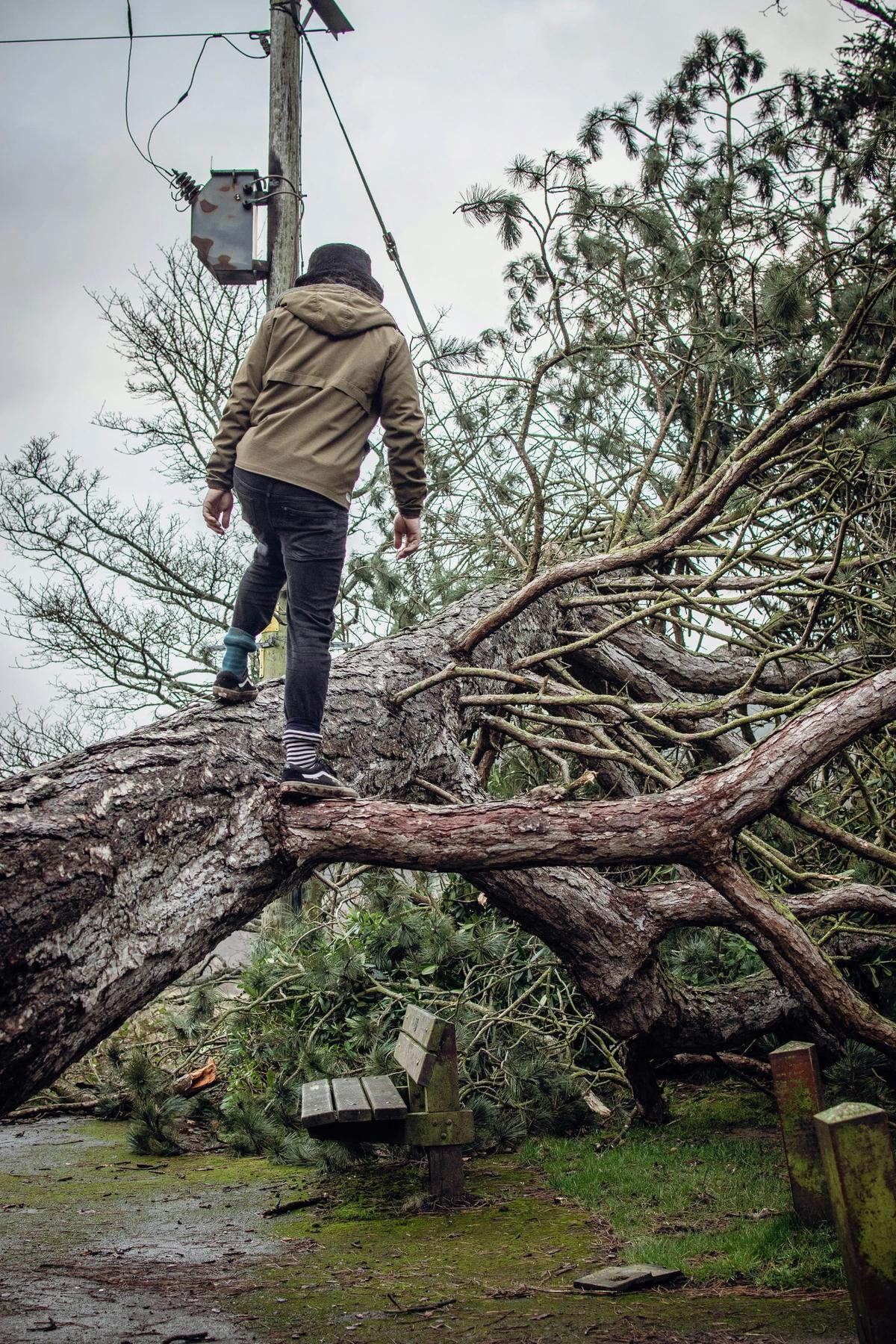 Surge in storm claims pushes up home insurance costs 